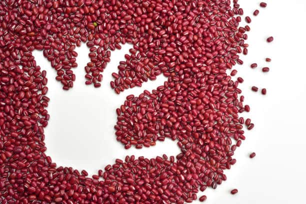 تصویر 3 از لوبیا قرمز بزرگ مناسب پخت غذا های متنوع